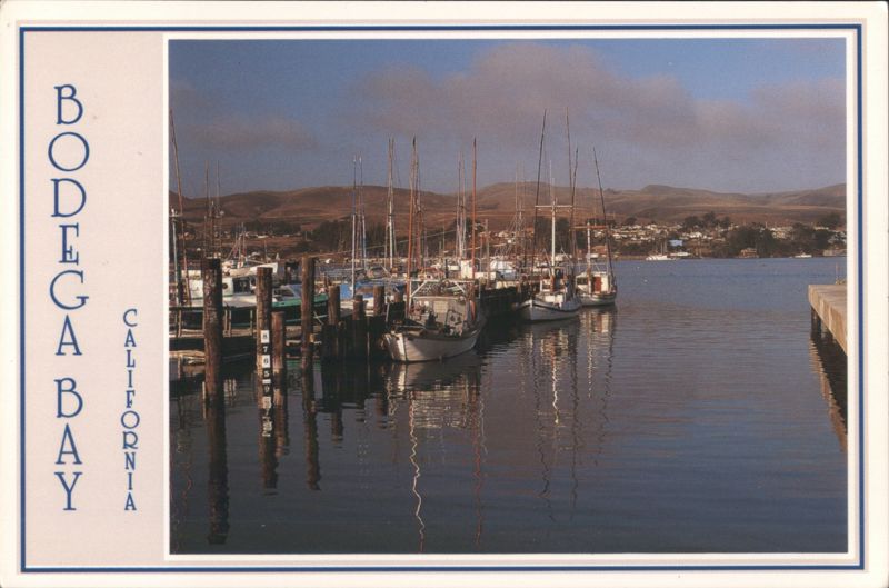 Bodega Bay California Boats Harbor Hills A.W. Anderson