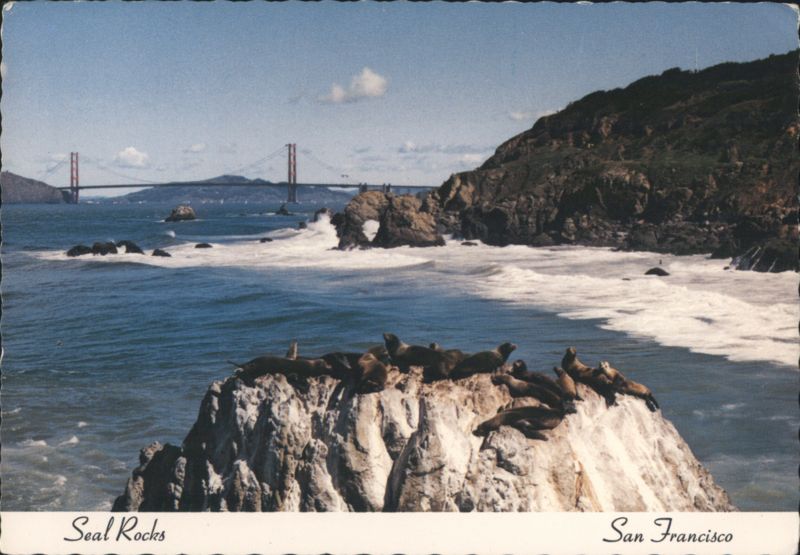 Seal Rocks & Golden Gate Bridge, San Francisco Bay California