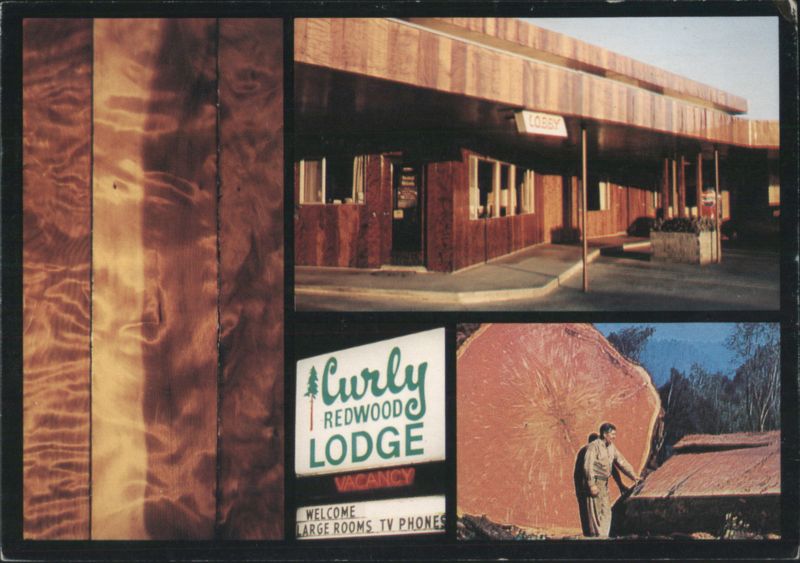 Curly Redwood Lodge & Giant Tree Cross-Section Crescent City California