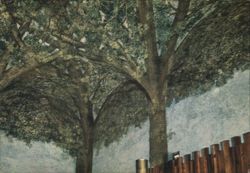 Leonardo da Vinci, Sala delle Asse, Sforza Castle Postcard