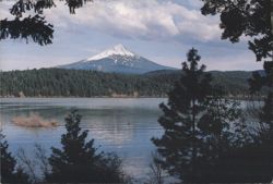 Mt. McLoughlin & Willow Lake, Oregon Postcard