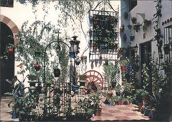 Típico Patio Andaluz with Lush Plants & Ironwork Postcard