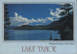 Pristine Beauty of Lake Tahoe, California - Nevada Postcard