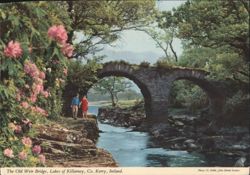 Old Weir Bridge, Lakes of Killarney, Co. Kerry Postcard