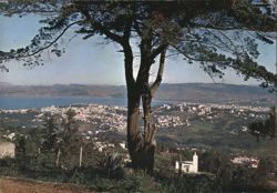 Tanger General View Cityscape with Tree and Bay Postcard
