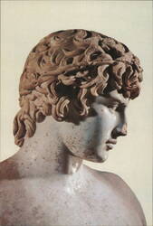 Antinous (138 A.D.) Bust, Delphi Postcard