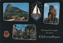 The Rock, Macaque, Street Scene, Sailboat, Gibraltar Postcard