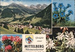 Mittelberg Kleinwalsertal, Austrian Alps, Gentians, Edelweiss Postcard
