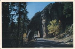 Needles Hood Tunnel, Black Hills, South Dakota Postcard