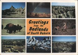 Badlands National Park, South Dakota Landscapes & Wildlife Postcard