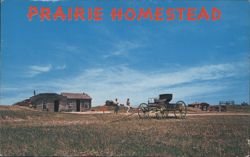Prairie Homestead Buildings & Wagon - South Dakota Postcard