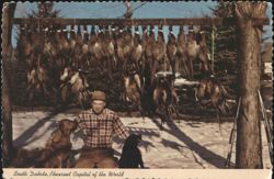 Man, Dogs, & Pheasants - Pheasant Capital of the World Postcard