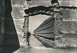 Villa Adriana - Muraglione del Pecile dalla Sala del Filosofo Postcard