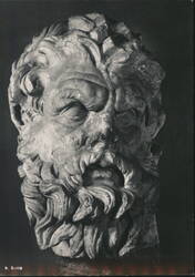 Head of old Centaur Postcard
