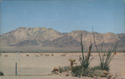 Highway 66 California Desert Landscape Postcard