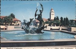Stanford University White Memorial Plaza Fountain, Hoover Tower Postcard