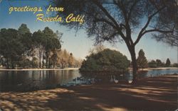 Beautiful Reseda Park Lake with Swans and Ducks Postcard