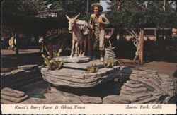 Knott's Berry Farm & Ghost Town Miner & Burro Statue Postcard