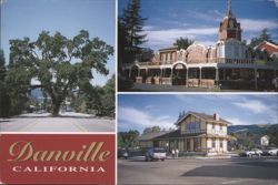 The Old Oak Tree, Danville Train Station, Danville Hotel Postcard