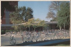 Bicycles at University of California, Davis Campus Postcard