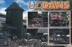 UC Davis The Silo, Double-Decker Bus & Campus Life Postcard