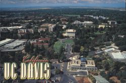 UC Davis Campus Aerial View California Postcard