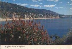 Laguna Beach Coastline, Heisler Park Red Shafts Postcard