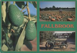 Fallbrook CA Avocados, Pumpkin Patch, Keep Smiling Tractor Postcard