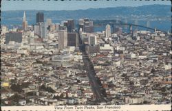 View From Twin Peaks, San Francisco Skyline & Bay Bridge Postcard