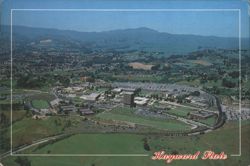 Hayward State University Campus Aerial View Postcard