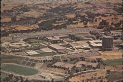 California State University, Hayward Aerial View Postcard