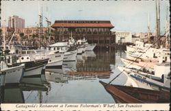 Castagnola's Restaurant, Fisherman's Wharf, San Francisco Postcard