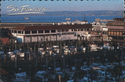 San Francisco Fisherman's Grotto No. 9, Fishing Boats Postcard