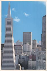 Transamerica Building San Francisco Skyline Postcard