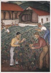 The Winemakers Mural, Coit Tower, San Francisco Postcard