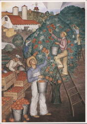 The Orchard Scene, Coit Tower Mural, San Francisco Postcard