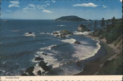 Trinidad Head California Coast, Whaling Ship Rendezvous Postcard