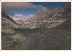 Tioga Pass, Wildflowers, Granite Peaks, Yosemite National Park Postcard
