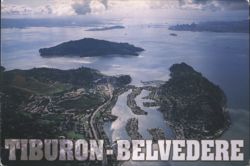 Tiburon-Belvedere, Angel Island, San Francisco Bay Aerial Postcard