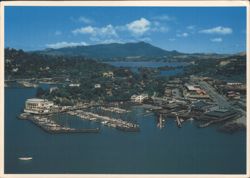 Tiburon and Belvedere, CA - Marin County Waterfront & Mt. Tamalpais Postcard
