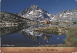 1000 Island Lake Ansel Adams Wilderness Horseback Rider Postcard
