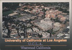 University of California Los Angeles UCLA Aerial View Postcard