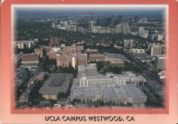 UCLA Campus Westwood, CA Aerial View Postcard