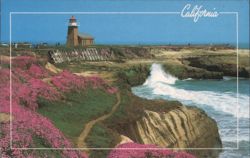 Lighthouse, Ocean Cliffs & Pink Flowers, Santa Cruz Postcard