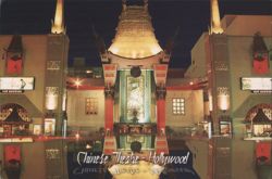 Chinese Theatre Hollywood, Illuminated at Night Postcard