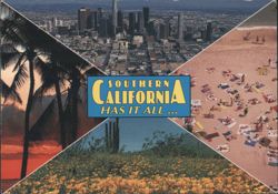 Southern California City Beach Palms Poppies Chrome Postcard Postcard