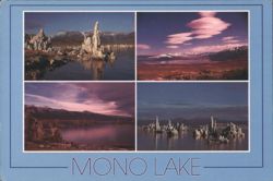 Mono Lake Tufa Towers Scenic Views CA Postcard