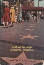 Walk of the Stars, Hollywood, CA - Dorothy McGuire Star Postcard