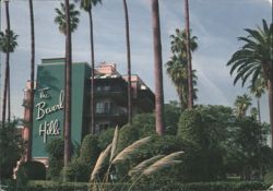 The Beverly Hills Hotel, Palm Trees, CA Postcard