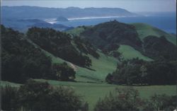 Oaks and grassland, Morro Rock in background, Hwy. 46 Postcard